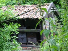 Bienenhaus